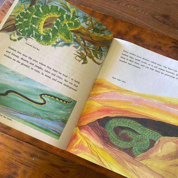 Vintage 90s Bundle of 2 Snakes & Lizards Paperback Books - Picture 6 of 8